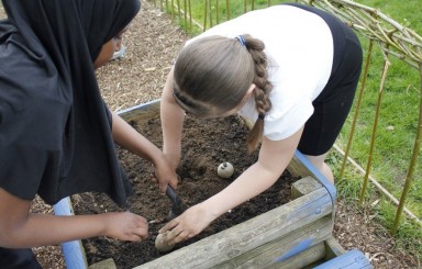 Spring Gardening
