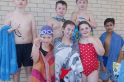 Year 5 and Year 6 Swimming Gala