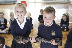 Photos of the Animal Man visit to Early Years