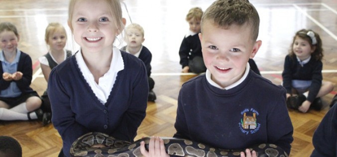 Photos of the Animal Man visit to Early Years