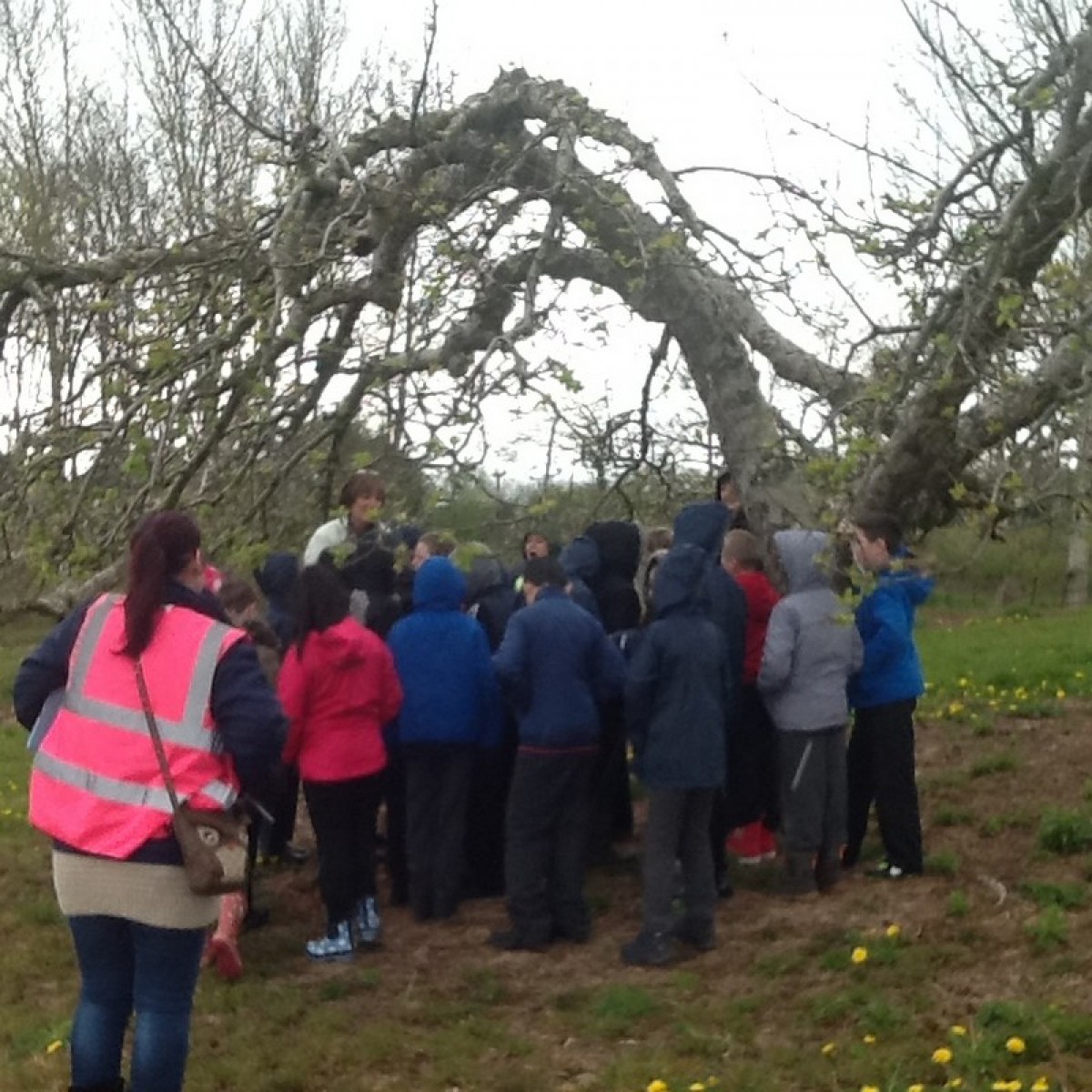 Year 5 Stocks Farm trip