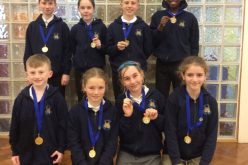 Year 5 & 6 win Swimming Gala