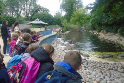 Photos of Year 2’s Twycross Zoo trip