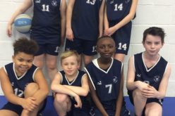 Basketball team finish in 5th