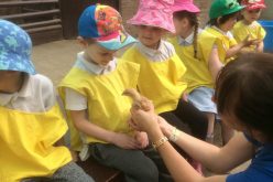 Photos of Nursery’s trip to Hatton Country World