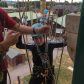 Year 6 Residential Trip
