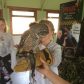 Year 6 Residential Trip