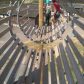 Year 6 Residential Trip