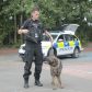 Year 3 visited by police dog handler