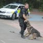 Year 3 visited by police dog handler