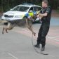 Year 3 visited by police dog handler
