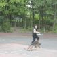 Year 3 visited by police dog handler