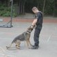 Year 3 visited by police dog handler
