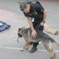 Year 3 visited by police dog handler