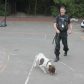 Year 3 visited by police dog handler