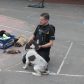 Year 3 visited by police dog handler