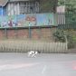 Year 3 visited by police dog handler