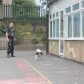 Year 3 visited by police dog handler