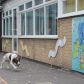Year 3 visited by police dog handler