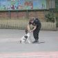 Year 3 visited by police dog handler