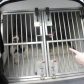 Year 3 visited by police dog handler