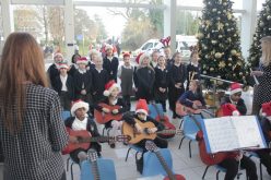 “Best school we’ve had!” – Praise at QE Hospital