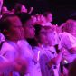Young Voices 2019