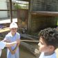 Year 2’s Twycross Zoo trip