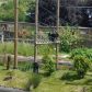 Year 2’s Twycross Zoo trip