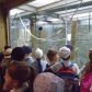 Year 2’s Twycross Zoo trip