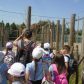 Year 2’s Twycross Zoo trip