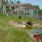 Year 2’s Twycross Zoo trip