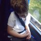 Year 2’s Twycross Zoo trip