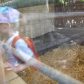 Year 2’s Twycross Zoo trip