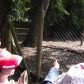 Year 2’s Twycross Zoo trip
