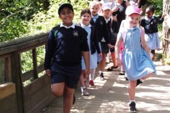 Photos of Year 2’s Twycross Zoo trip