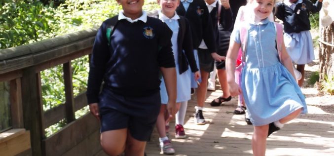 Photos of Year 2’s Twycross Zoo trip
