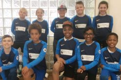 Year 5 take part in cricket festival