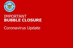 Update: Bubble Closure: Year 2