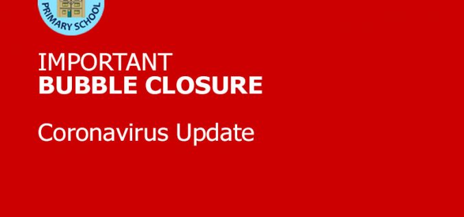 Bubble Closure: Year 1