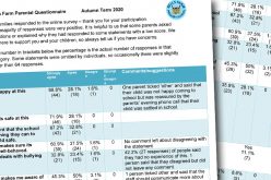 Parent Questionnaires Results and Feedback