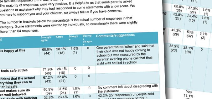 Parent Questionnaires Results and Feedback
